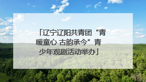辽宁辽阳共青团“青暖童心 古韵承今”青少年观剧活动举办