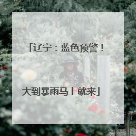 辽宁：蓝色预警！大到暴雨马上就来