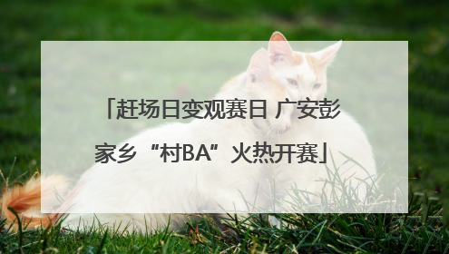 赶场日变观赛日 广安彭家乡“村BA”火热开赛