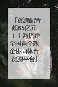 资源配置超65亿元！上海搭建全国首个政企协同体育资源平台