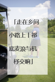 走在乡间小路上丨祁底麦浪与机杼交响
