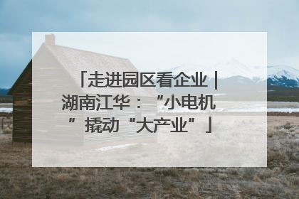 走进园区看企业｜湖南江华：“小电机”撬动“大产业”