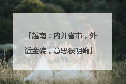 越南：内并省市，外近金砖，意思很明确
