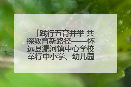 践行五育并举 共探教育新路径——怀远县淝河镇中心学校举行中小学、幼儿园班主任论坛活动