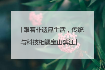 跟着非遗品生活，传统与科技相遇宝山滨江