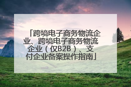 跨境电子商务物流企业、跨境电子商务物流企业（仅B2B）、支付企业备案操作指南