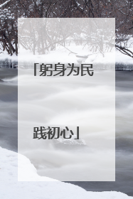 躬身为民践初心