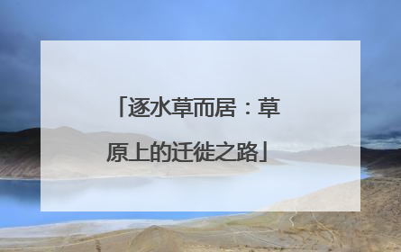 逐水草而居：草原上的迁徙之路
