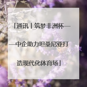 通讯丨筑梦非洲杯——中企助力坦桑尼亚打造现代化体育场