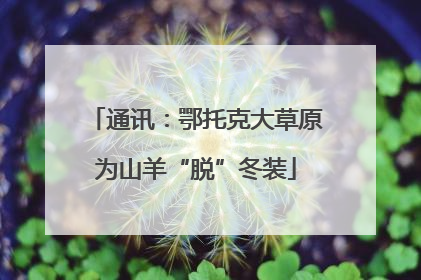通讯：鄂托克大草原为山羊“脱”冬装