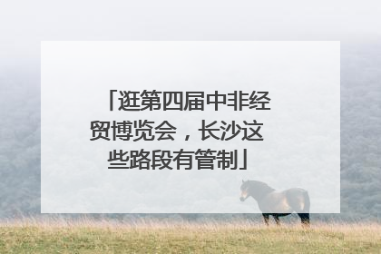 逛第四届中非经贸博览会，长沙这些路段有管制