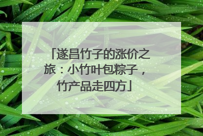 遂昌竹子的涨价之旅：小竹叶包粽子，竹产品走四方