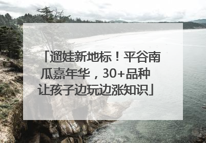 遛娃新地标！平谷南瓜嘉年华，30+品种让孩子边玩边涨知识