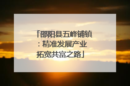 邵阳县五峰铺镇：精准发展产业 拓宽共富之路