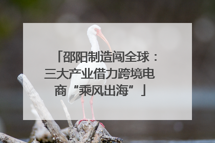 邵阳制造闯全球：三大产业借力跨境电商“乘风出海”