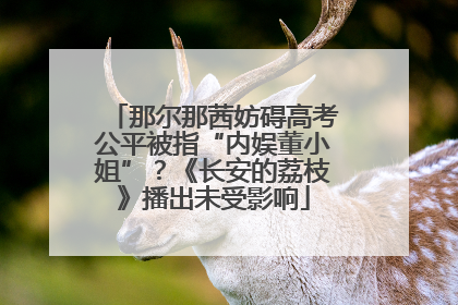 那尔那茜妨碍高考公平被指“内娱董小姐”？《长安的荔枝》播出未受影响