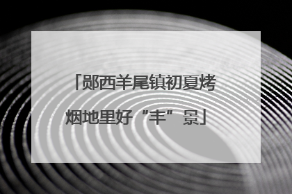 郧西羊尾镇初夏烤烟地里好“丰”景