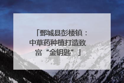 鄄城县彭楼镇：中草药种植打造致富“金钥匙”