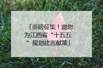 重磅征集！邀您为江西省“十五五”规划建言献策