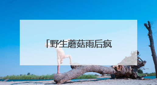 野生蘑菇雨后疯长，致命高发季来了！大连市卫健委最新提醒