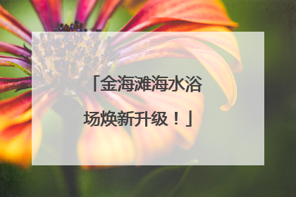 金海滩海水浴场焕新升级！