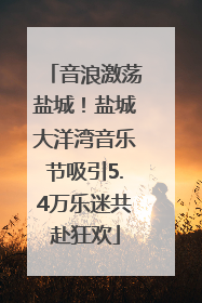 音浪激荡盐城！盐城大洋湾音乐节吸引5.4万乐迷共赴狂欢