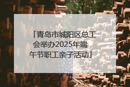 青岛市城阳区总工会举办2025年端午节职工亲子活动