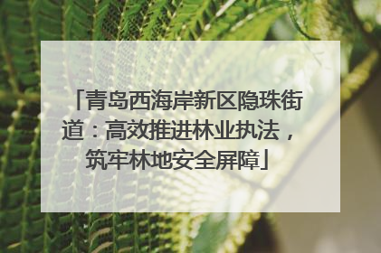 青岛西海岸新区隐珠街道：高效推进林业执法，筑牢林地安全屏障