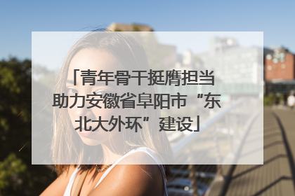 青年骨干挺膺担当 助力安徽省阜阳市“东北大外环”建设