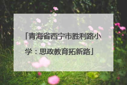 青海省西宁市胜利路小学：思政教育拓新路