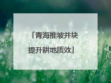 青海推坡并块提升耕地质效