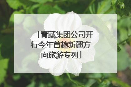 青藏集团公司开行今年首趟新疆方向旅游专列