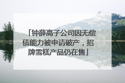 钟薛高子公司因无偿债能力被申请破产，招牌雪糕产品仍在售