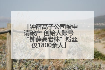 钟薛高子公司被申请破产 创始人账号“钟薛高老林”粉丝仅1800余人