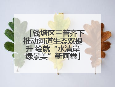 钱塘区三管齐下推动河道生态双提升 绘就“水清岸绿景美”新画卷