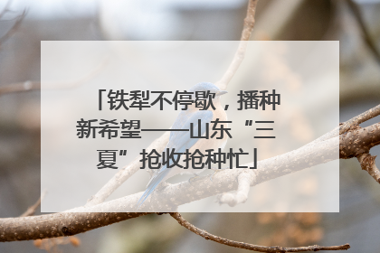 铁犁不停歇，播种新希望——山东“三夏”抢收抢种忙