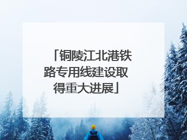 铜陵江北港铁路专用线建设取得重大进展