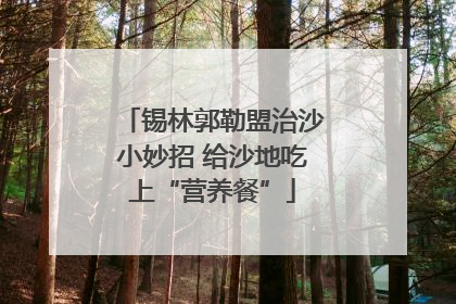 锡林郭勒盟治沙小妙招 给沙地吃上“营养餐”