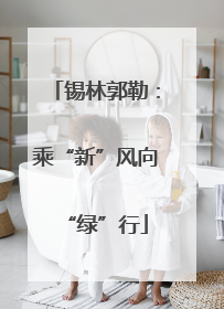 锡林郭勒：乘“新”风向“绿”行