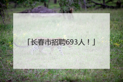 长春市招聘693人！
