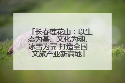 长春莲花山：以生态为基、文化为魂、冰雪为翼 打造全国文旅产业新高地