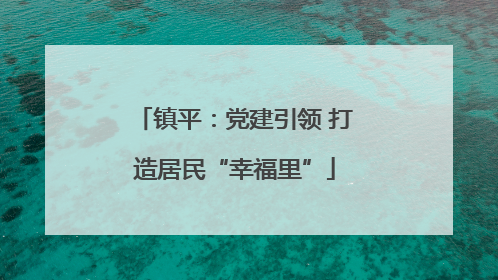 镇平：党建引领 打造居民“幸福里”