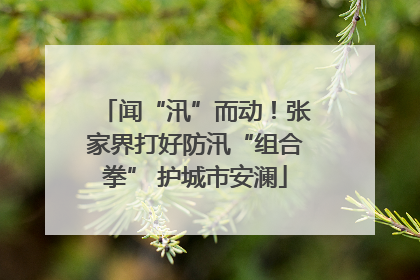 闻“汛”而动！张家界打好防汛“组合拳” 护城市安澜