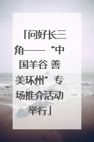 问好长三角——“中国羊谷 善美环州”专场推介活动举行