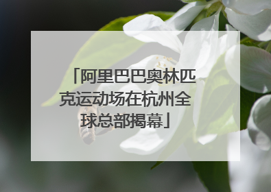 阿里巴巴奥林匹克运动场在杭州全球总部揭幕