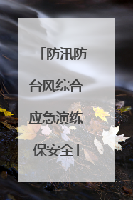 防汛防台风综合应急演练保安全