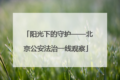 阳光下的守护——北京公安法治一线观察