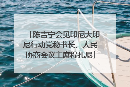 陈吉宁会见印尼大印尼行动党秘书长、人民协商会议主席穆扎尼
