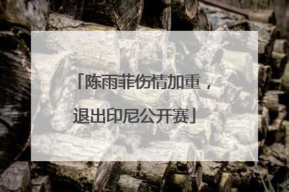 陈雨菲伤情加重，退出印尼公开赛