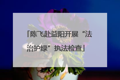 陈飞赴益阳开展“法治护绿”执法检查